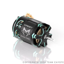 CREST 1/10 Stocki Motor 13.5T CAYOTE