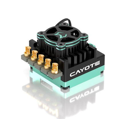 Contrôleur de compétition sans balais CREST RS120 avec capteur CAYOTE pour 1/10